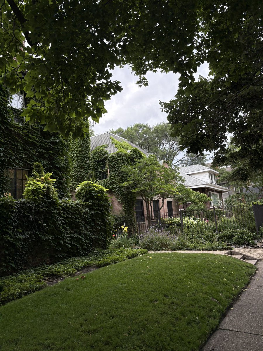leonardiusmax's tweet image. The north side of Chicago is vastly underrated.