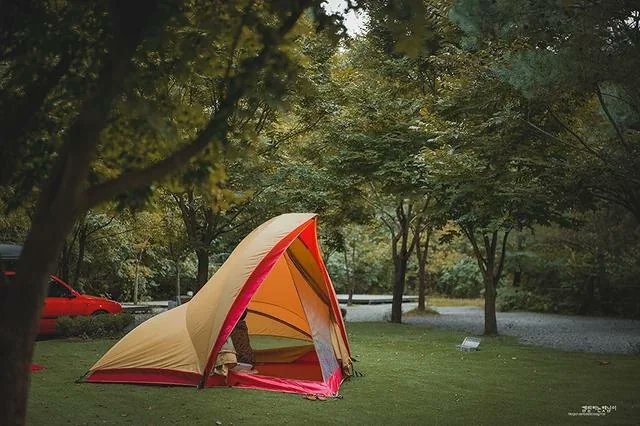 CampHikeClub's tweet photo. Does anyone still use these old tents? Or are they history now?

Follow for more - @CampHikeClub
📸 Source - Reddit
DM for credit or remove

#campinglife #campingadventures #campingtent #campingtrip #campingcollective #campingculture #campingfun #outdoorlife #woods #happycamper https://t.co/o2RgmOVE9c