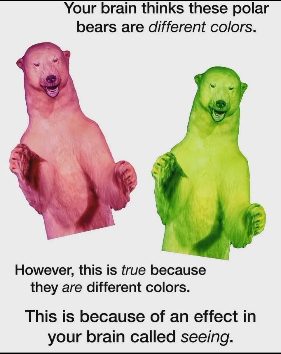 1Bonehed's tweet image. 