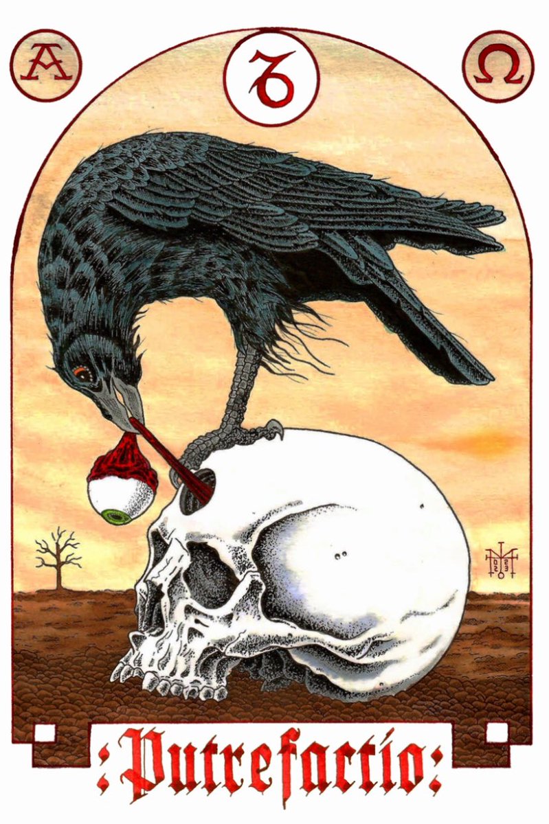 SmaragdinaVisio's tweet image. PUTREFACTIO - “When you see your matter going black, rejoice, for this is the beginning of the work”
Rosarium Philosophorum, a 16th century alchemical treatise. The matter going black or putrefying is a reference to the Nigredo stage of the alchemical process, also known as the…