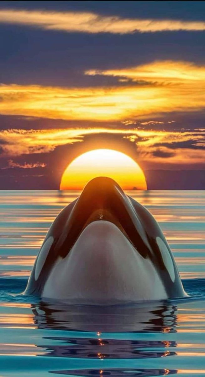 World like paradise (@magical__views7) on Twitter photo 