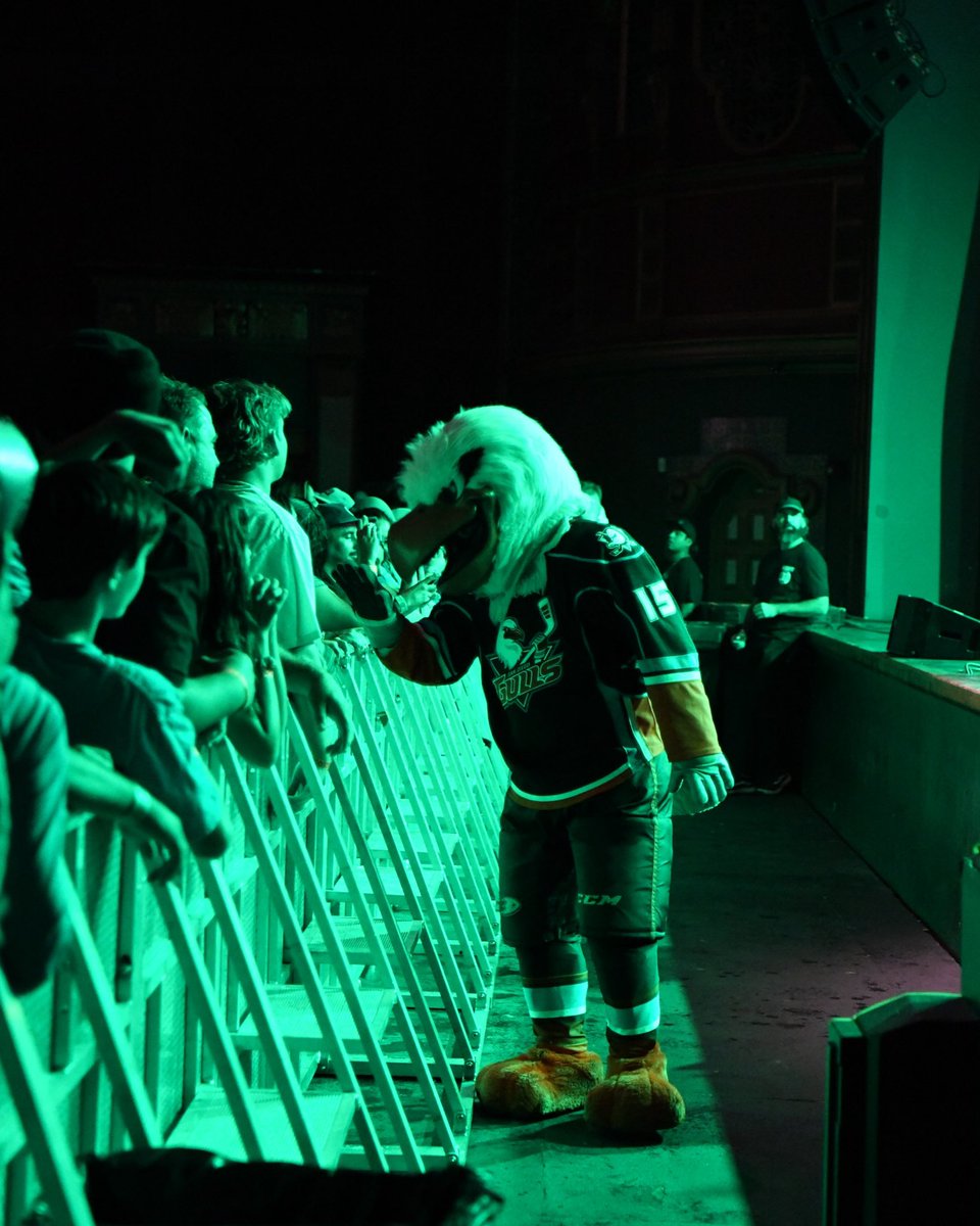 SDGullsAHL's tweet image. Dropped the gloves with the @TheAquabats and @AnaheimDucks last night!!