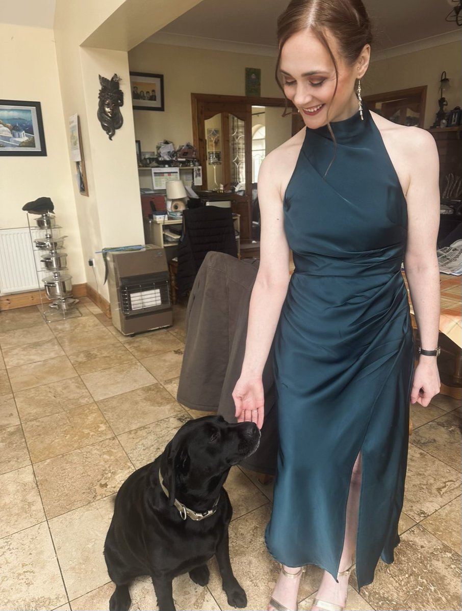 Can you bring a dog as a plus one?