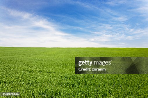 FlexRMFC's tweet image. Touched some grass, W?