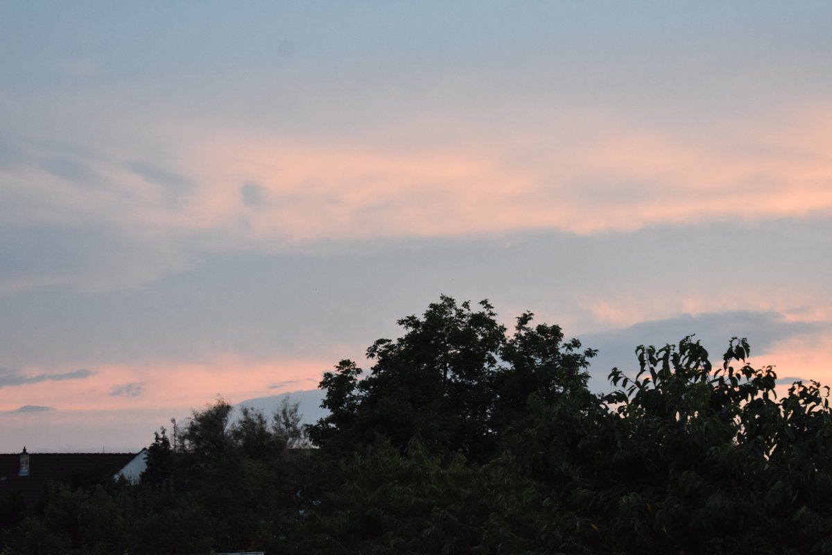 FallflowerK's tweet image. July sky...