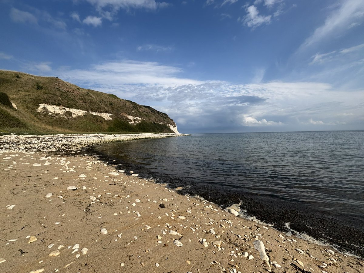 Dane Dykes and South landing beach