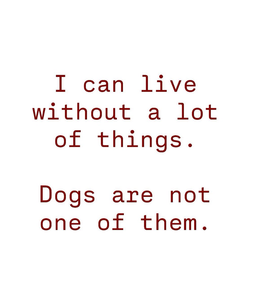 ChrisGeer4's tweet image. 