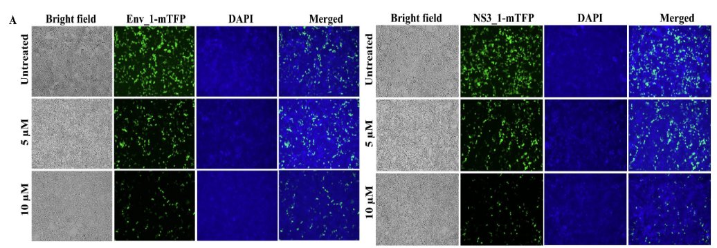 MicrobiomDigest's tweet image. Other than the unaligned panels (ugh!), can you find a problem in this figure?
(Hint: two sets of panels unexpectedly overlap).
#ImageForensics