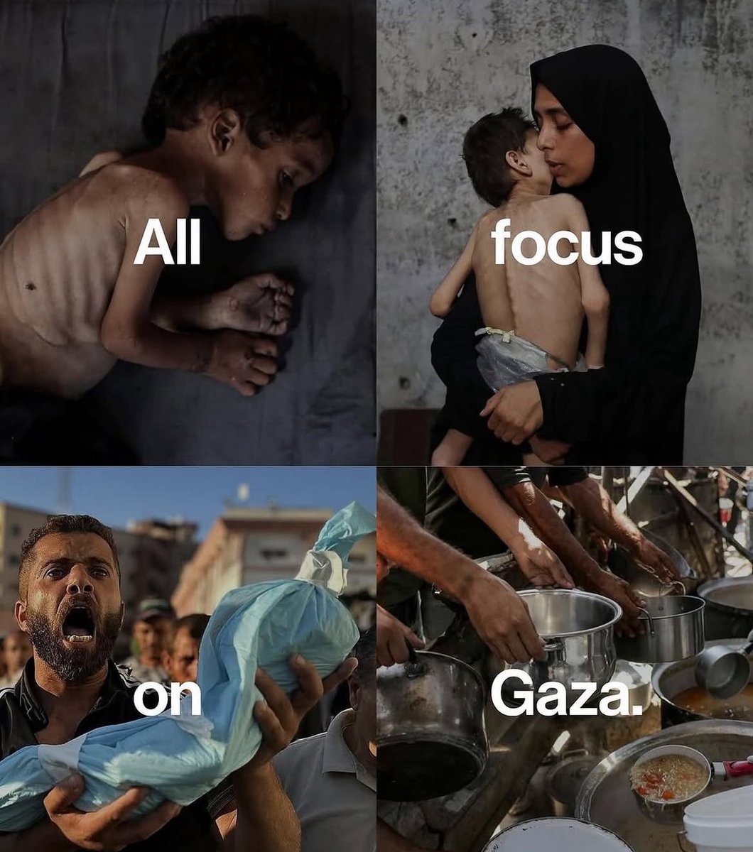 SandraUrdin's tweet image. #allfocusonGaza 🖤