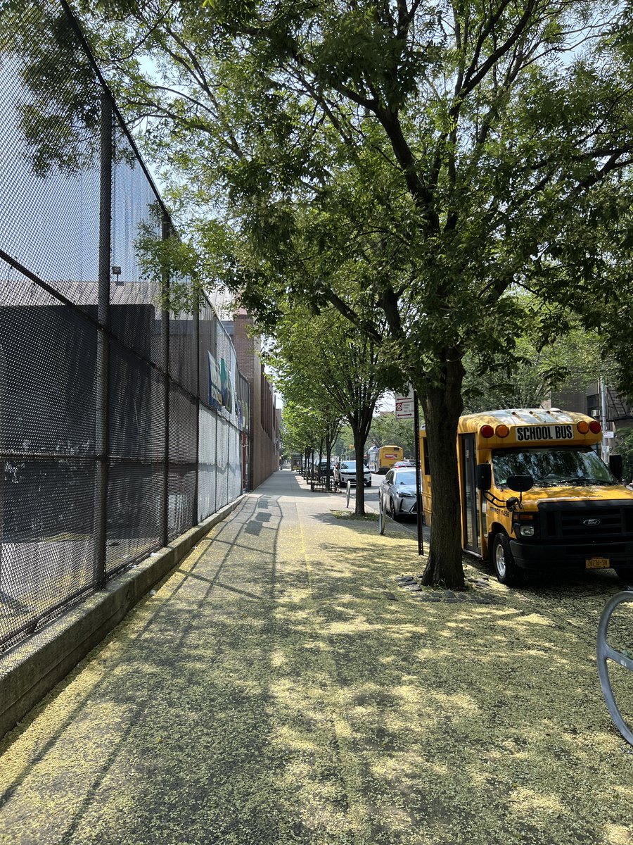 colemanjspilde's tweet image. the walk from bushwick to clinton hill that heals you