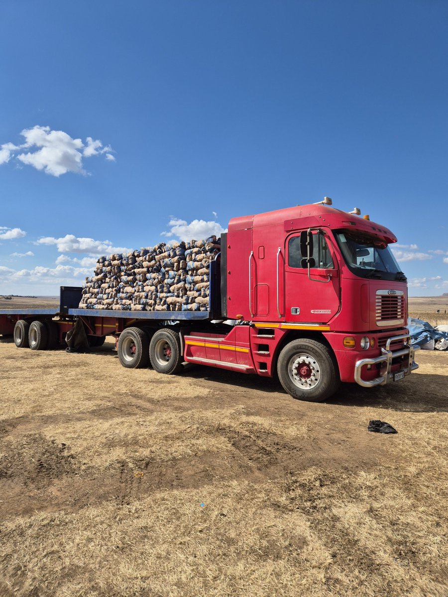MMavusoo's tweet image. 🥔 🥔 we continue to feed the nation and our neighboring countries 🇱🇸 and 🇲🇿
Thank you for the support we get
#MCV
#Potato_farmer