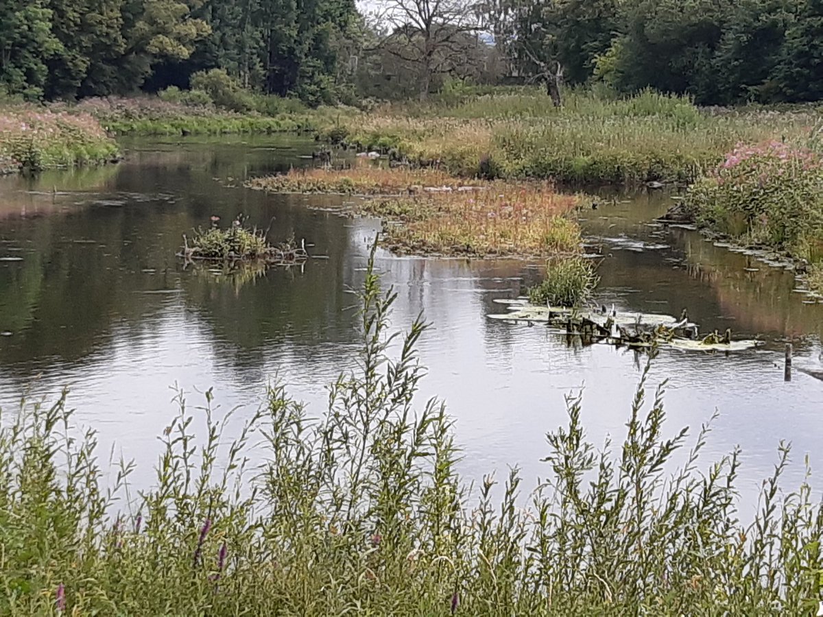 ThomasK1145905's tweet image. Ein wenig Kultur und Sport im Urlaub: Donauursprung in Donaueschingen und Testspiel vom Lieblingsverein der Kinder...