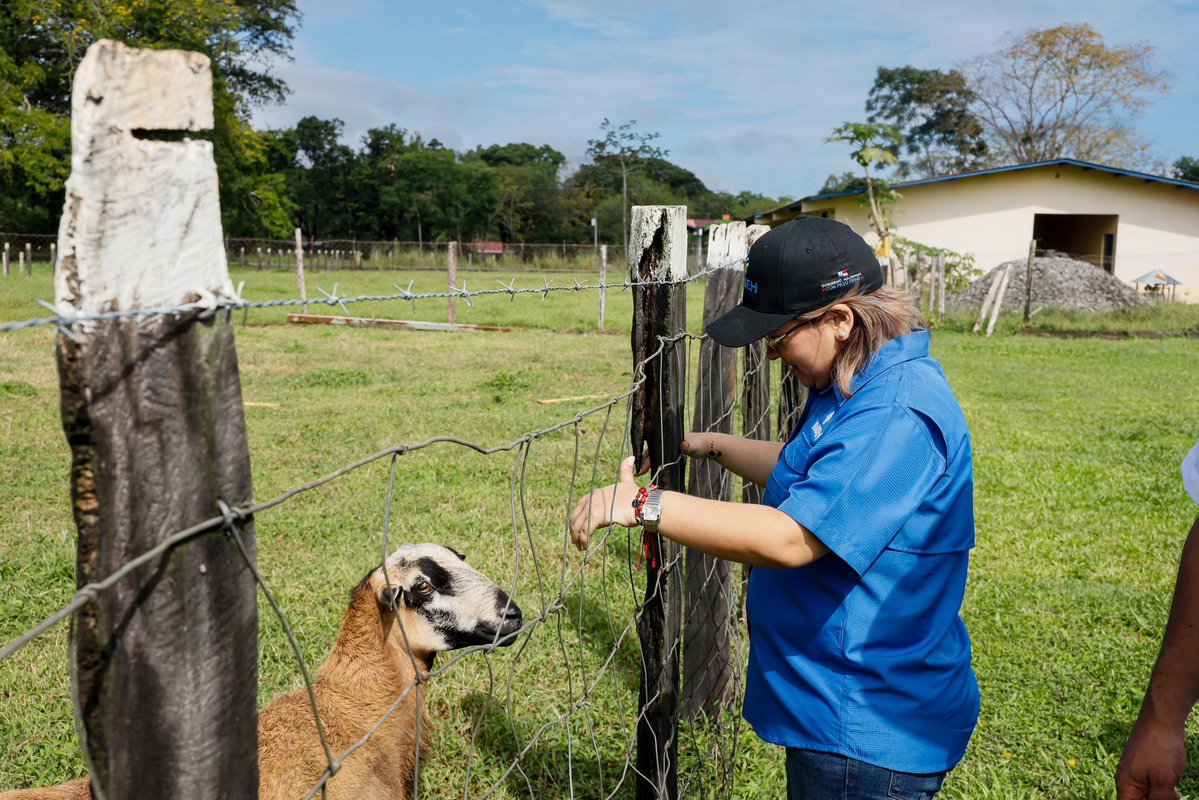 InadehOficial's tweet image. La directora general del INADEH, @yapitti, lideró una gira de inspección por las instalaciones del centro de formación en Las Lajas, Chiriquí, evaluando el estado de la granja didáctica, los cultivos, los animales y las aulas de formación.
#ConPasoFirme