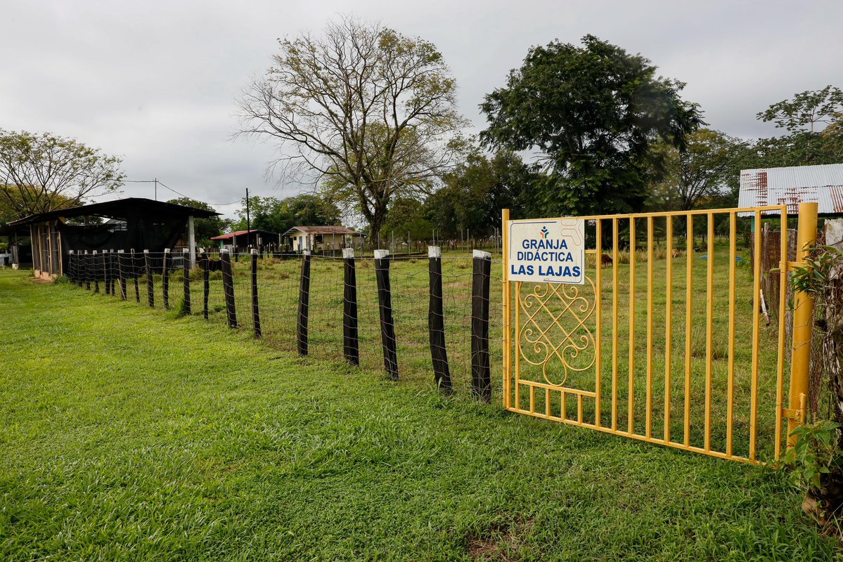 InadehOficial's tweet image. La directora general del INADEH, @yapitti, lideró una gira de inspección por las instalaciones del centro de formación en Las Lajas, Chiriquí, evaluando el estado de la granja didáctica, los cultivos, los animales y las aulas de formación.
#ConPasoFirme