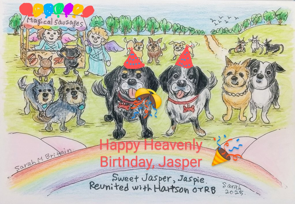 Sarah M Artist loves D🐶Gs 🌱🐶🎨📝🎶🎄 (@sarahmldnenbr2) on Twitter photo Angel Jasper. You are now in the sunny meadows over the rainbow bridge. Reunited with Hartson.
Enjoy shenanigans with lots of angel pals. You are young and fine forever. I love you forever, Jaspie.🌈🌳🌻🪻🌺🐾💖🧡💛💚🩵💙💜
<a href="/CancerDoggy/">I is Jasper. Here in Hartsons honour ❤️</a>
#TheAviators
(©2025 Sarah M Britain) Angel Jasper. You are now in the sunny meadows over the rainbow bridge. Reunited with Hartson.
Enjoy shenanigans with lots of angel pals. You are young and fine forever. I love you forever, Jaspie.🌈🌳🌻🪻🌺🐾💖🧡💛💚🩵💙💜
<a href="/CancerDoggy/">I is Jasper. Here in Hartsons honour ❤️</a>
#TheAviators
(©2025 Sarah M Britain)