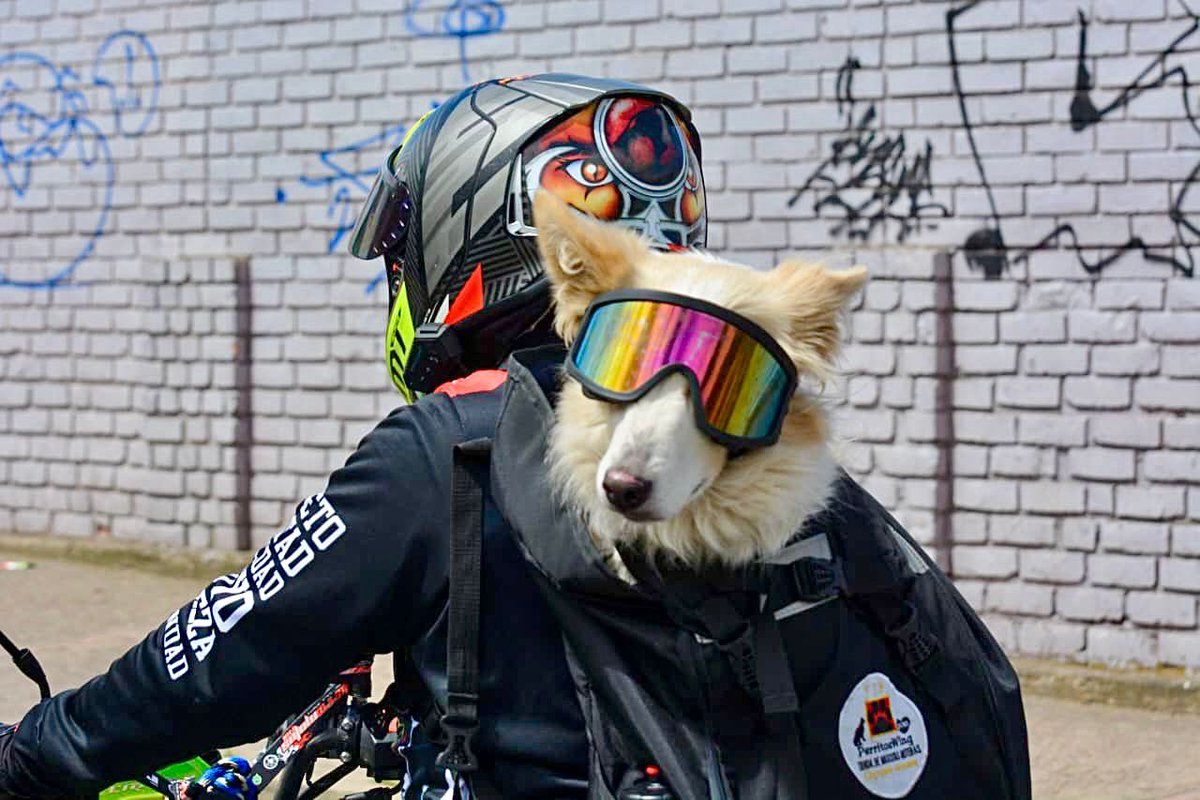 facetasdeboyaca's tweet image. Cientos de motociclistas participaron en la 'Gran cambiatón de cascos'.
Los moteros firmaron el acuerdo por la seguridad en las calles de Tunja.
@MovilidadTunja
#Tunja #FacetasDeBoyacá