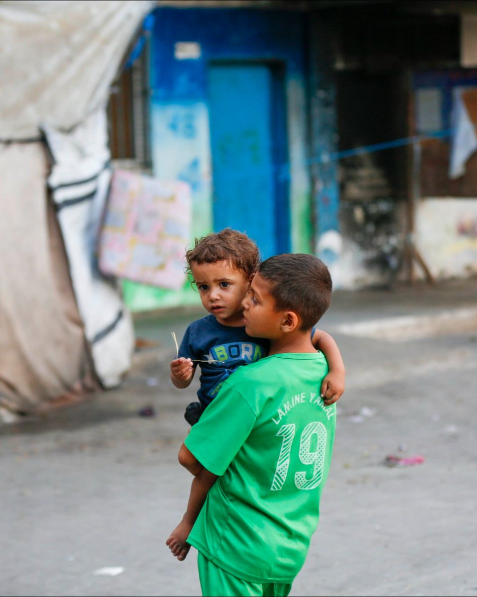 Los niños y niñas de Gaza siguen sufriendo un infierno mientras el mundo mira.

Han perdido a seres queridos, sus hogares, sus escuelas y apenas le quedan esperanzas. 

El alto el fuego definitivo debe llegar ya.