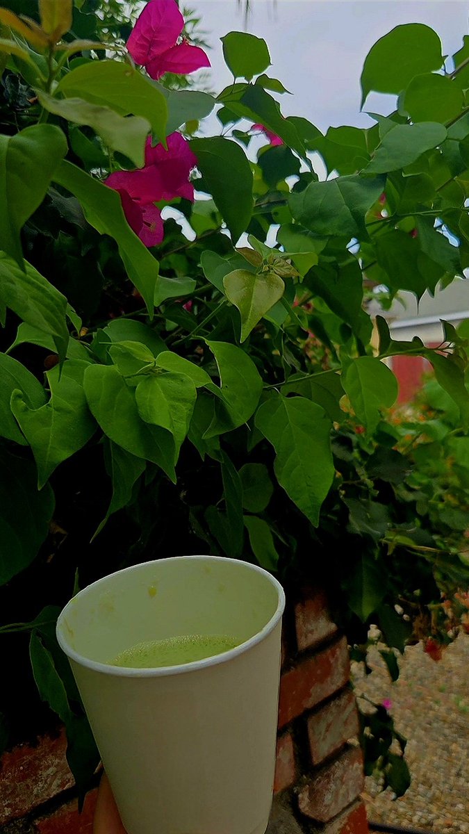 PotLady_'s tweet image. A cloudy morning called for some green tea matcha! 🍵💚