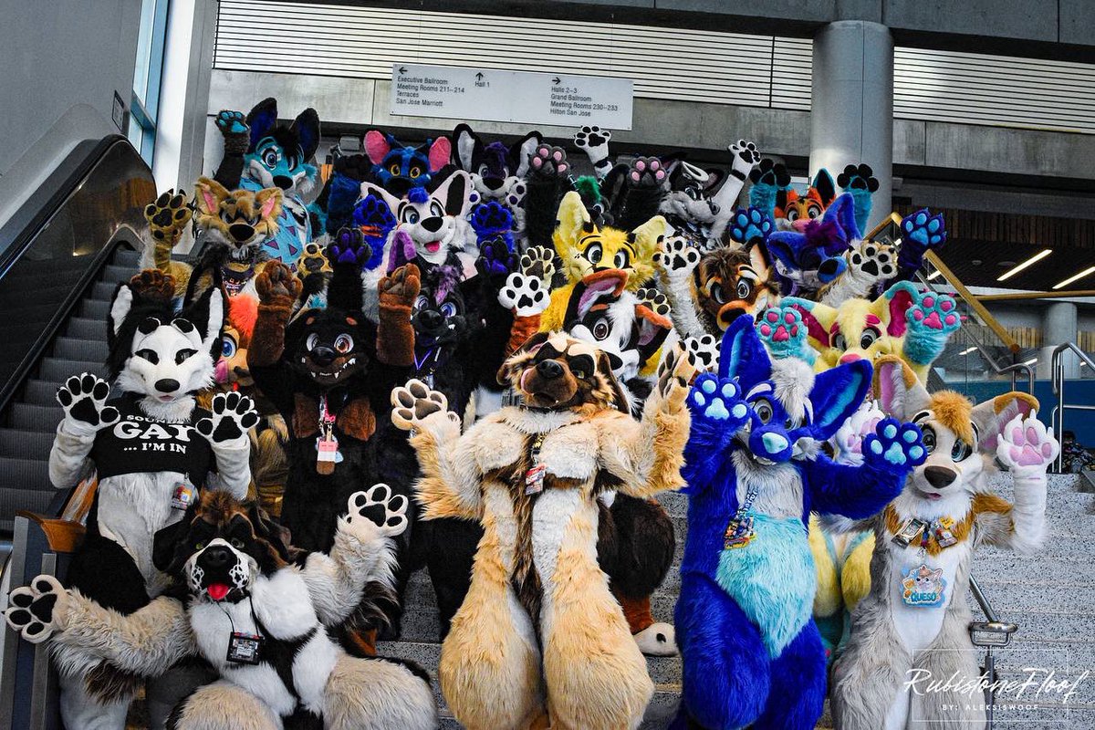 Paws up! It’s the weekend!