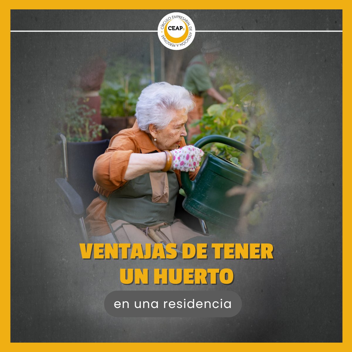 🌱 Sembrar vida, cosechar sonrisas 🌱
En muchas de nuestras residencias, los huertos son mucho más que tierra y semillas: Suponen bienestar, movimiento, memoria y compañía. 
¿Tu residencia cuenta con un huerto para que cuiden los residentes?
#CEAPs