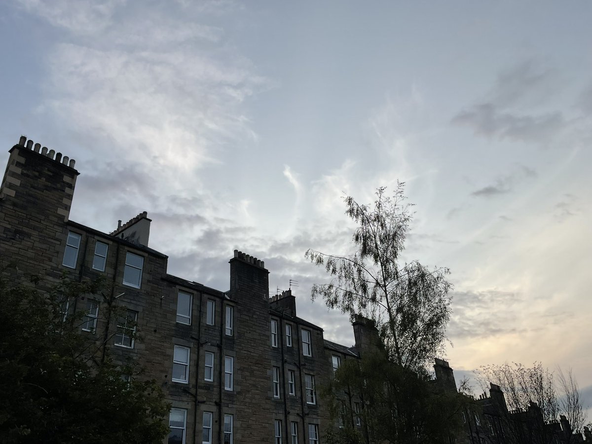PotterVillamil's tweet image. evening fade