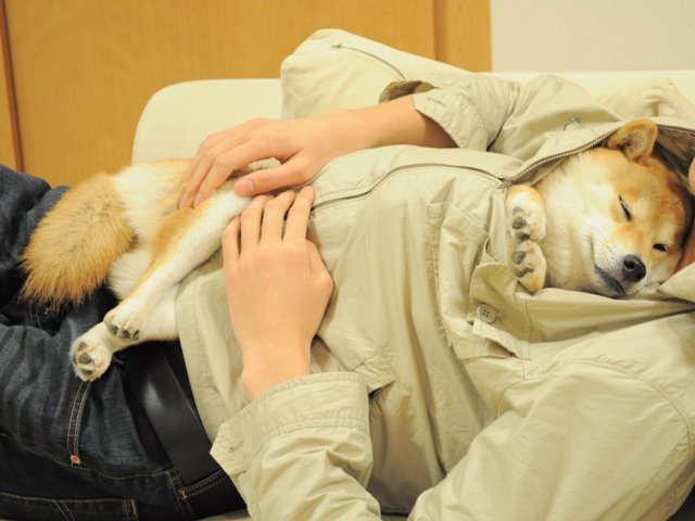 AliceN33dCOOKI3's tweet image. Good night my friends!
Have sweet dreams!
You are awesome!