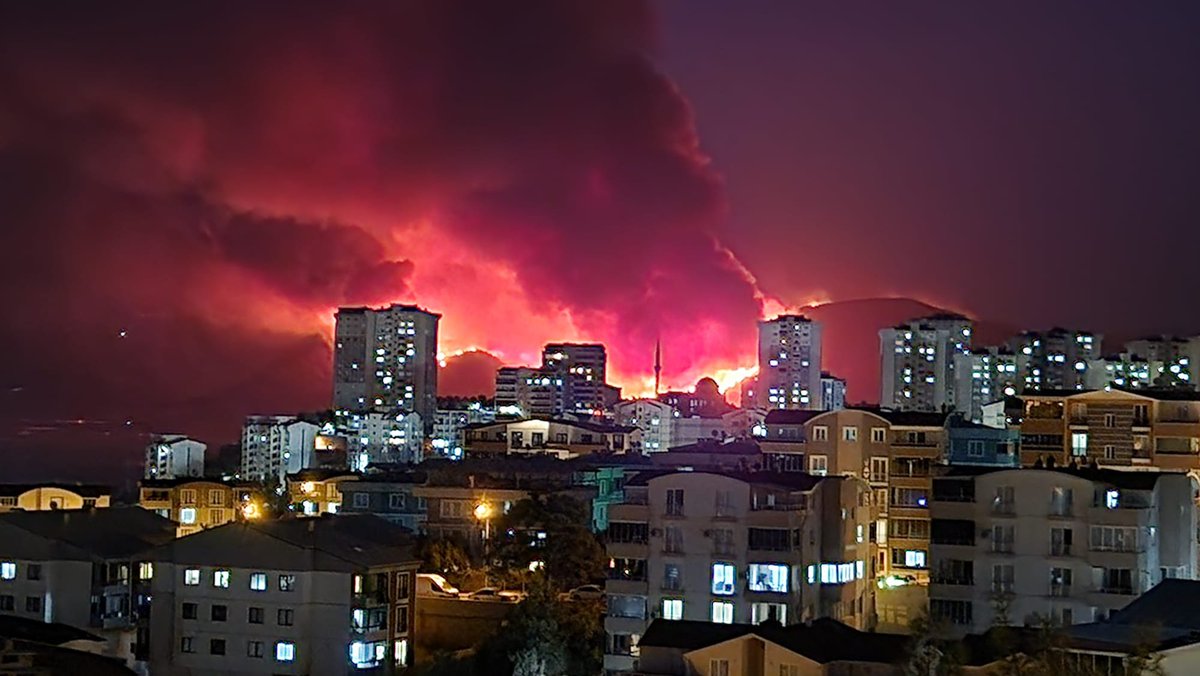 piisemkey's tweet image. Bursa Kestel