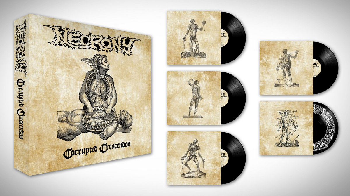 NECRONY "Corrupted Crescendos" 5LP box set back in stock from Helter Skelter Productions.

💀 Get it here:
shop-hellsheadbangers.com/searchAdvanced…