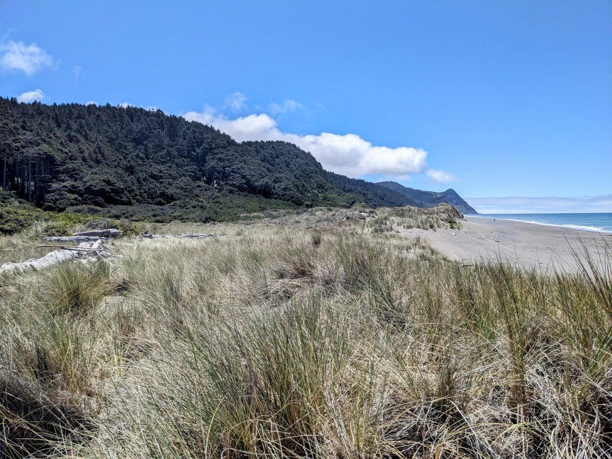 battlehateharm's tweet image. Nice place for kicking it south of Gold Beach