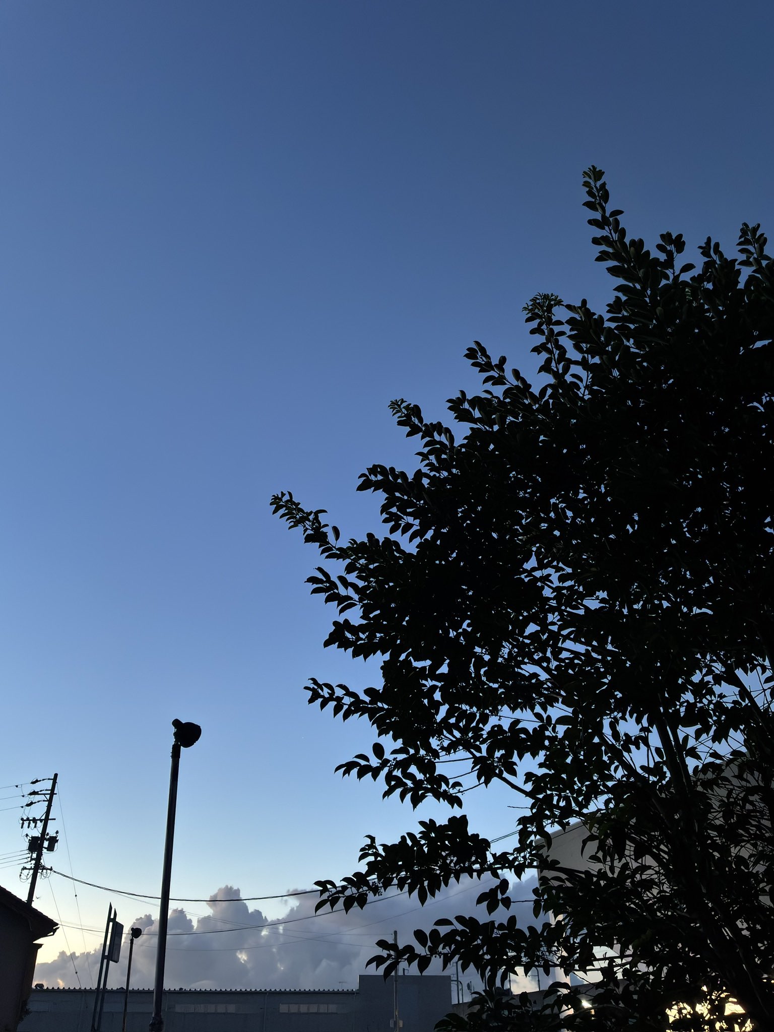 ランタナ様☆ 専用ページ☆ Ninja ZX-25Rを楽しくする最新パーツ群一挙紹介！CUSTOM PARTS