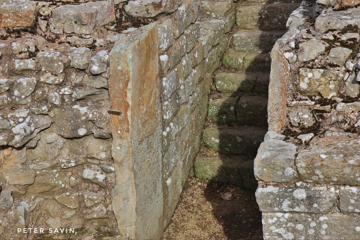 pete_savin's tweet image. The steps leading into the strong room under the headquarters building in the west compound at #Corbridge Roman town. The room would have held the soldiers pay and savings. A building inscription of the 6th legion dated AD192-202 was found inside during excavation. #RIB1163