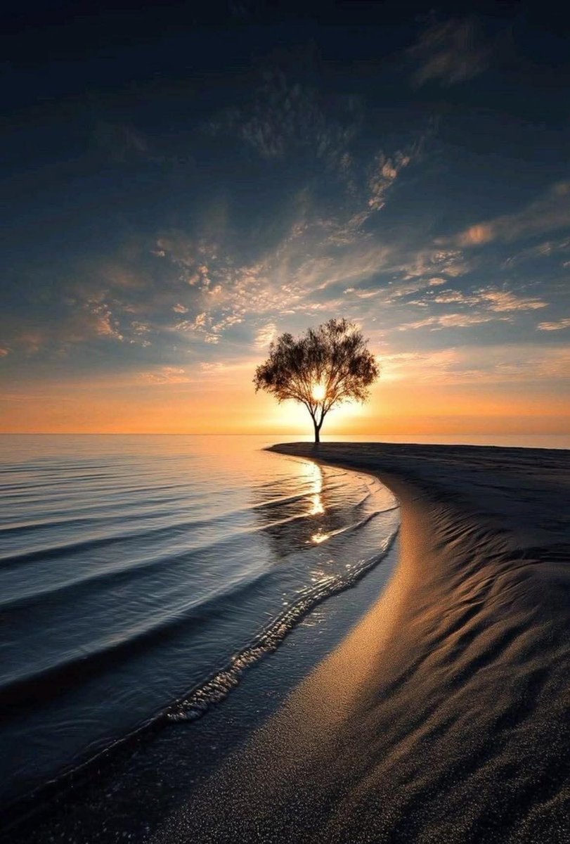 BlueBird270956's tweet image. Dobranoc...💙

foto: Moments and Memories