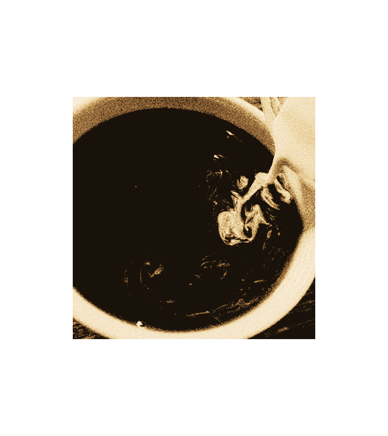 ⠀⠀       𓉸   ⠀▍⠀ 𝓮LIZABETH 𝓭EBICKI ⠀  ཋྀ ⠀⋆♱