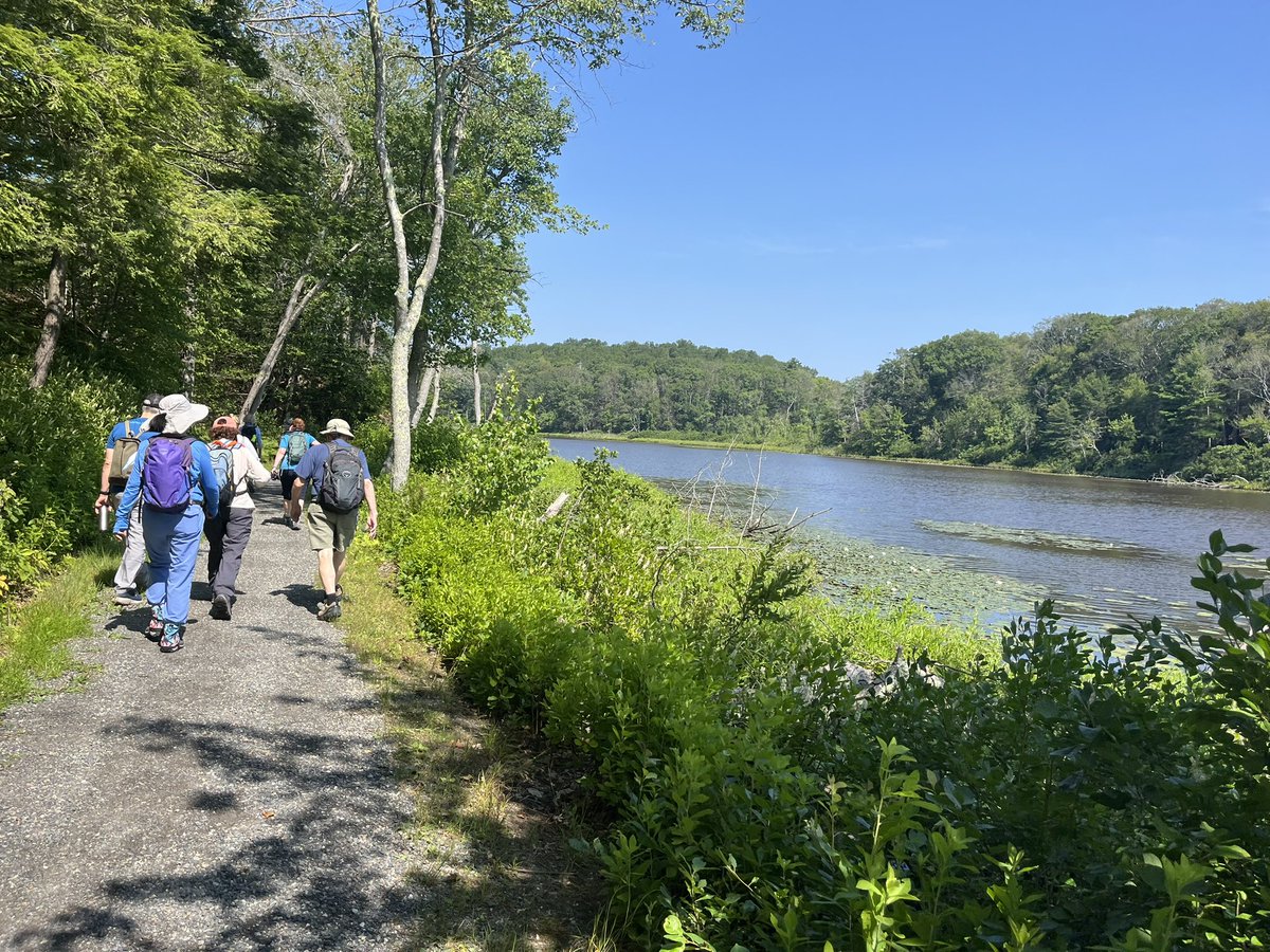MarcHurBoston's tweet photo. Part two of a pretty extraordinary hike on the North Shore that starts at a college campus. #GordonCollege #Wenham 

@AMCLocalWalks https://t.co/aCef4dknmM