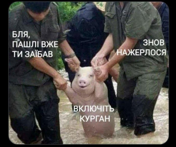 evgeny_prts's tweet photo. @soooofia123 https://t.co/5xMjkyKe5G