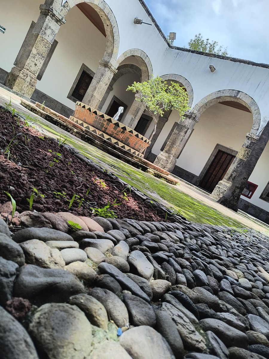 RICK 86 (@richardmalfavon) on Twitter photo 