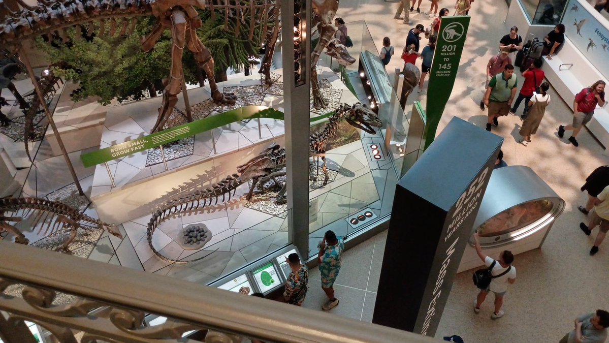 CreatureAuthor's tweet image. Got a shot of the Allosaurus from above