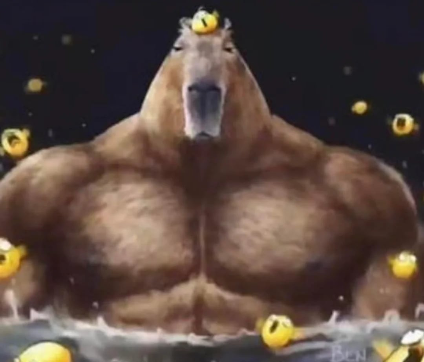 capyonbonk's tweet image. the frens of capy X chat is now open. dm pls 🥰