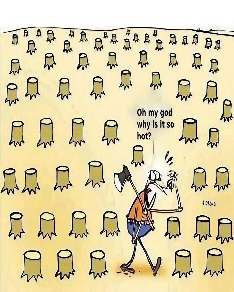 TainaMakinen's tweet image. 💙💛📚💫🙏