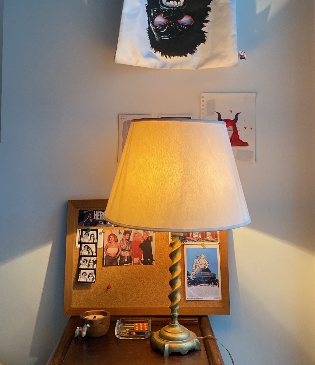 zoeisaneditor's tweet image. lamp shade = acquired ✅