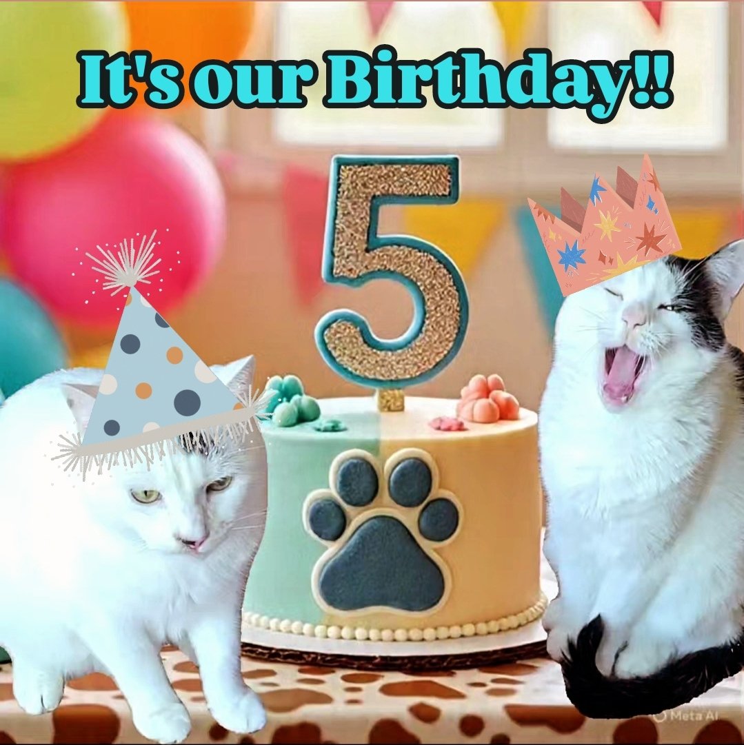 🐾🎁🎉✨️ Let's pawty! ✨️🎉🎁🐾 

We're 5 years old, meow and we're gonna #pawty all weekend! Treats, toys, and terrific naps, too!  😺😸❤️

Happy Caturday, #furriends much love! ❤️🐾 - Maxx and Rooby

#itsmybirthday🎉 #CatsOnTwitter #cutecats #happycaturday