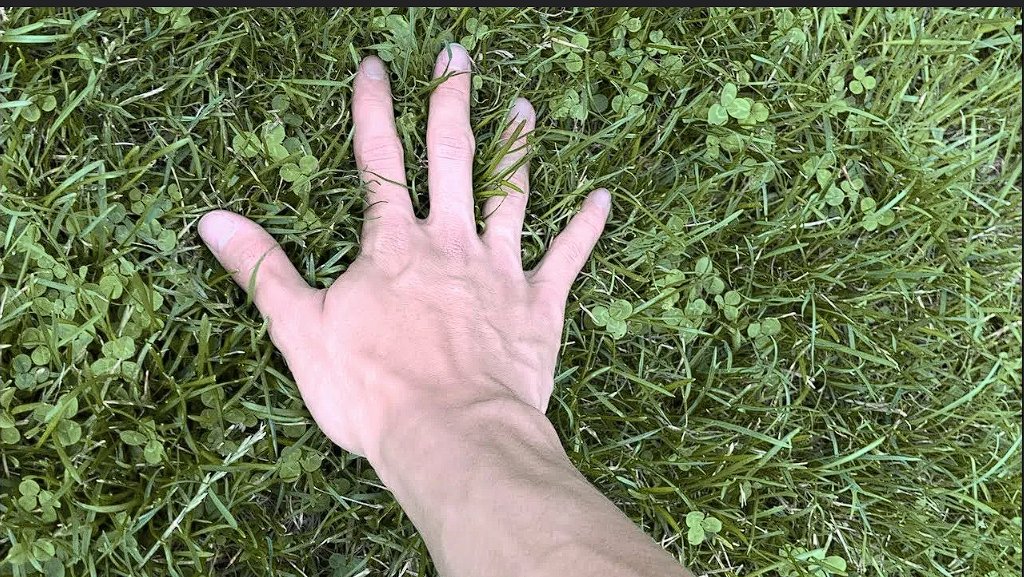 FlipnftB48197's tweet image. #openseatouchgrass
💪