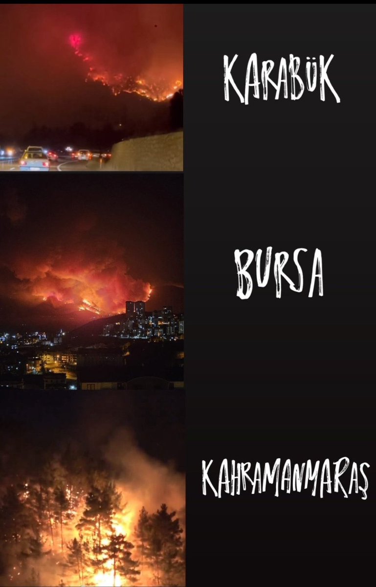 Ormanlara da yanıyor/yandı demeyelim,ŞEHİT oldular diyelim,böylece kimse sorumlu aramaz