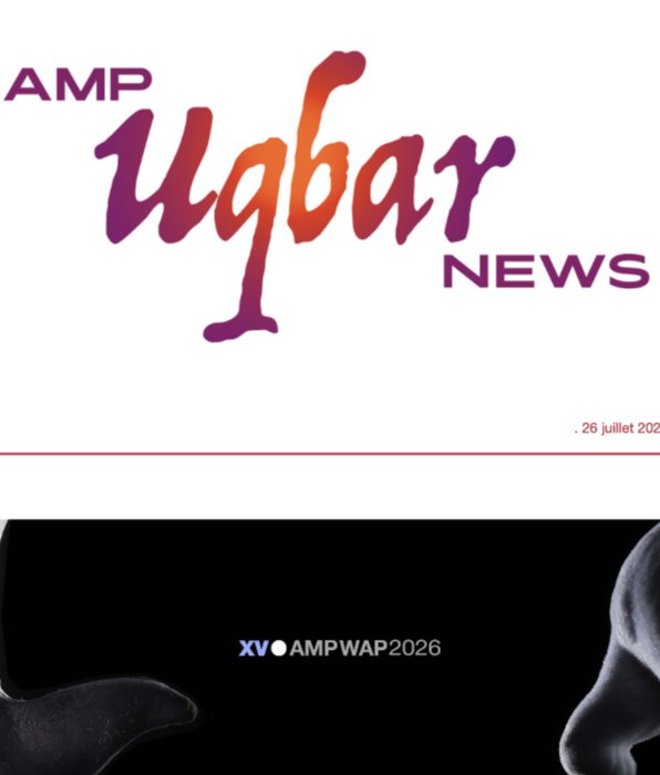 Communiqué du XVe Congrès de l'AMP

Nous recevons ce jour ce communiqué de Ricardo Seldes, directeur du prochain Congrès de l'AMP. 

Nous vous invitons à y prêter attention ainsi qu'à ceux qui suivront.

Pour le conseil de l'ECF, 

Anaëlle Lebovits-Quenehen, Présidente de l'ECF