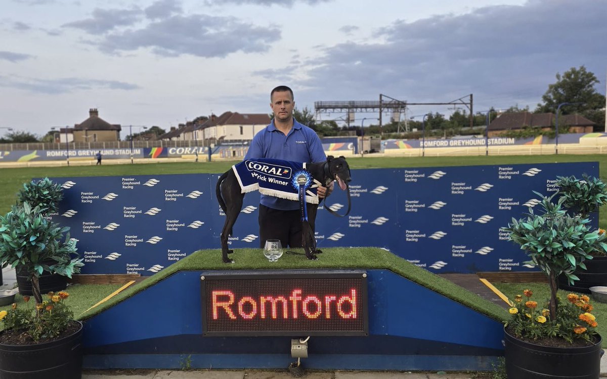RomfordDogs's tweet image. Gurtnacrehy Halo Hat Trick Race!🥳✨🐾

Congratulations to Connections!🩷