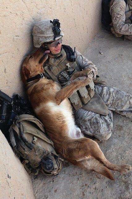 This deserves endless ❤ !