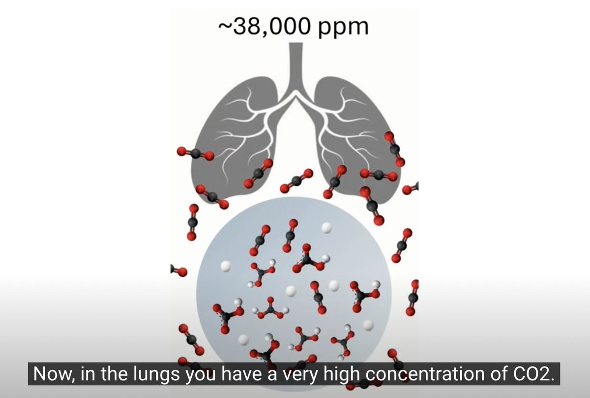 Check out this brilliant video explainer from Bristol University which illustrates how (as well as high CO2 levels often indicating poor ventilation and higher COVID risk environment) high CO2 levels also increase the lifetime of the virus in the air. 

airspothealth.myshopify.com/a/blog/how-car…