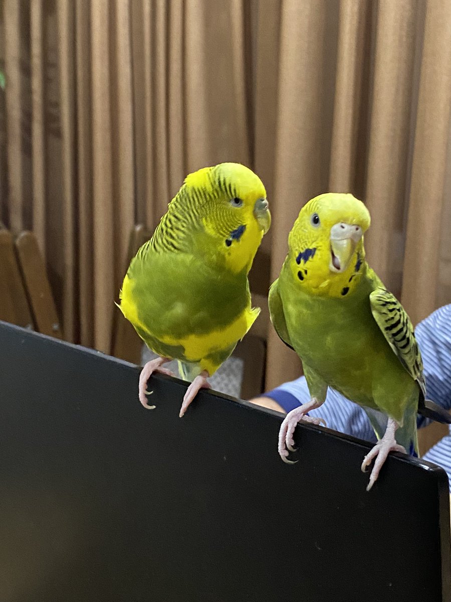 mubisgiller's tweet image. Sizden gelenler 📸