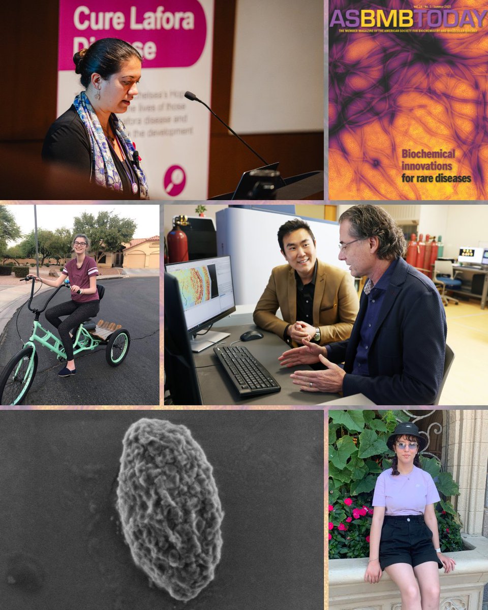ASBMB's tweet image. Matt Gentry & others have developed multiple therapeutics to treat neurological glycogen storage diseases that are currently in preclinical and clinical development. Learn how Gentry & colleagues are targeting GSDs from 3 different biochemical angles: ow.ly/HOeC50WvBtQ.
