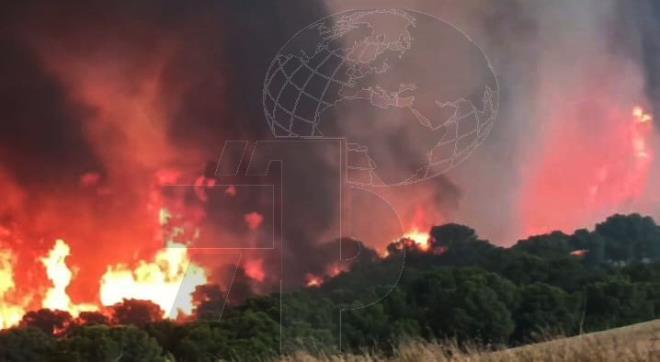 TapNewsAgency's tweet image. #Tunisia: Civil Protection in #Siliana & forest rangers, put out 3 wildfires that broke out Friday & hit Djebel Jama, Djebel Balouta & Djebel Dahar (spreading to Jebel Mansour, #Zaghouan), as heavy equipment helped access hard-to-reach zones & damage still being assessed. #TAP_En